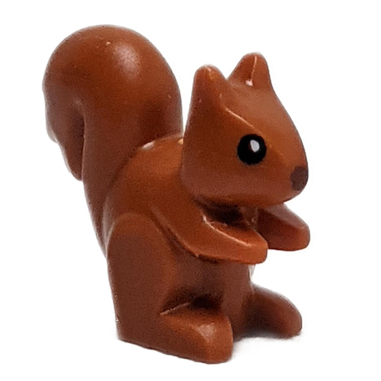 Squirrel with Black Eyes, White Pupils, and Reddish Brown Nose Pattern