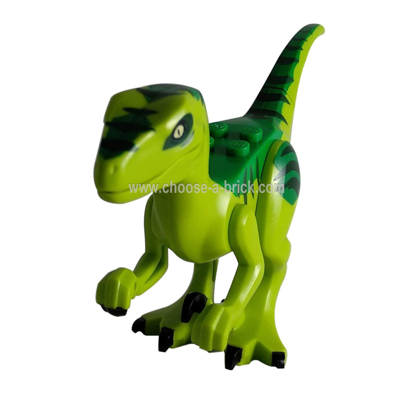 Dinosaurio, Raptor / Velociraptor con Verde Espalda