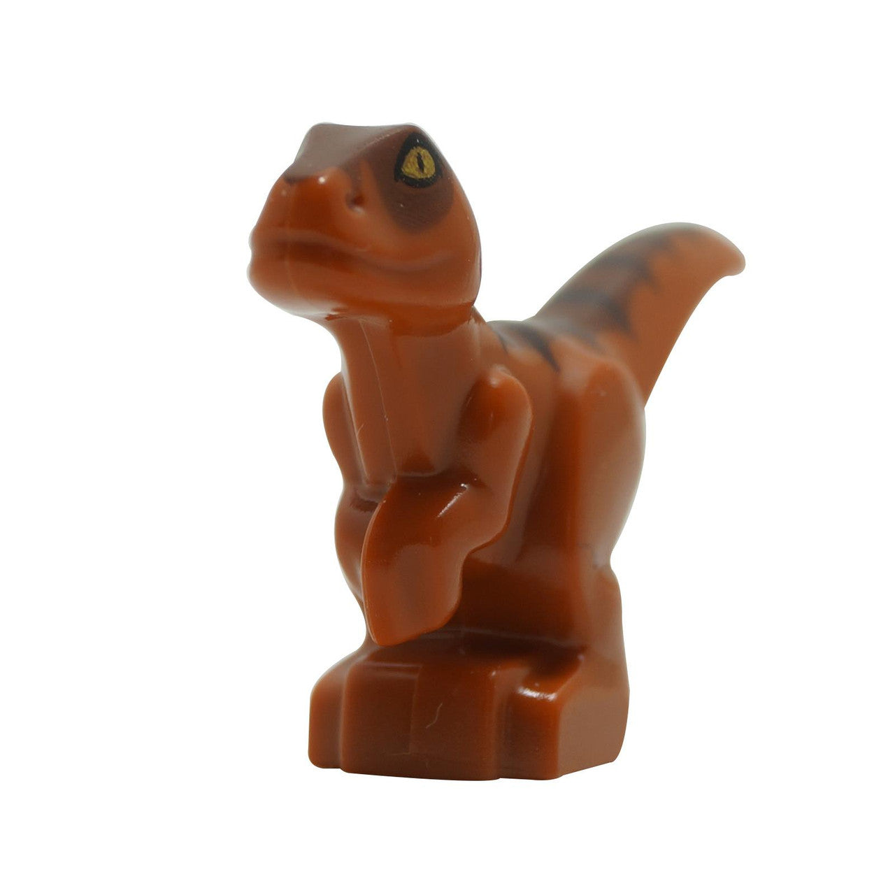 Dark Orange Dino Raptor Baby with Dark Brown and Reddish Brown Back