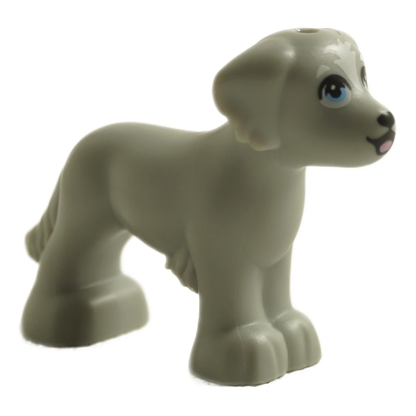 LEGO® Friends shaggy dog figure in light bluish gray with blue eyes and white fur pattern on head, front angle view