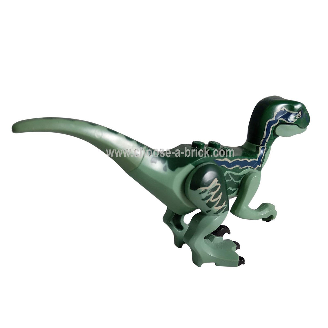 Raptor - Velociraptor Delta de Jurassic World I LEGO Dinosaurs regardant à droite