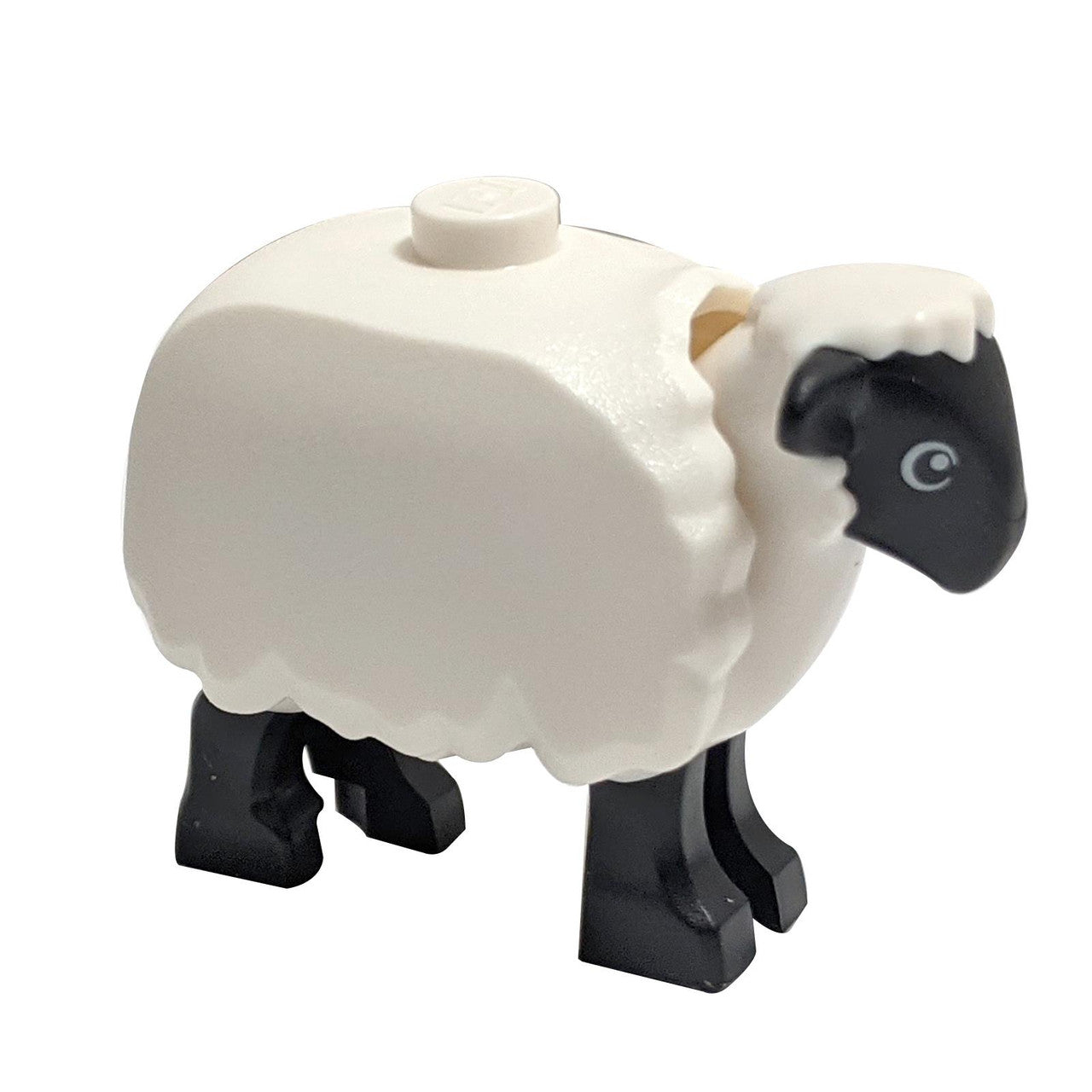 Sheep with Black Head and Legs with Fleece