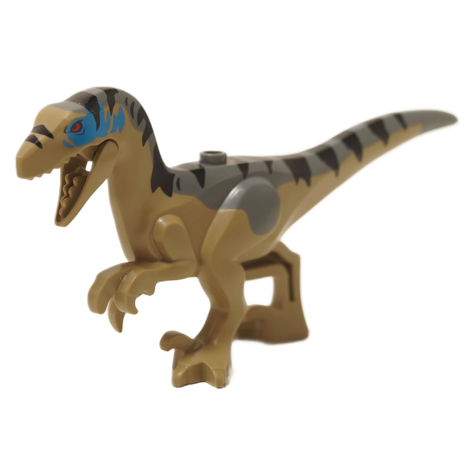 LEGO® ヴェロキラプトル Raptor11（青い顔プリント） – www.choose-a