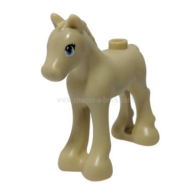 Foal Tan – Bright Light Blue Eyes (11241pb06)