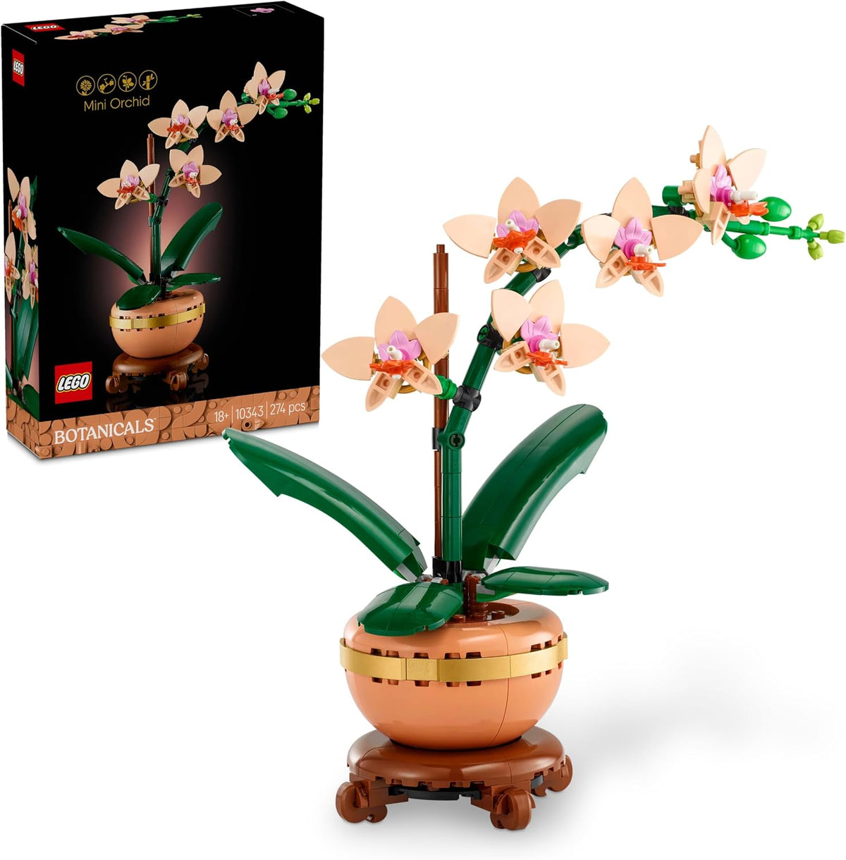 Mini Orchid 10343
