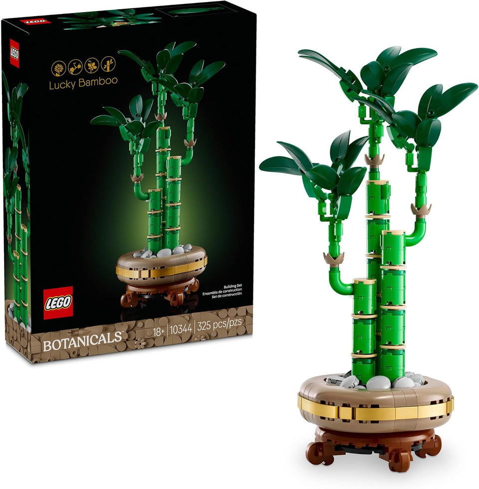 Lucky Bamboo 10344