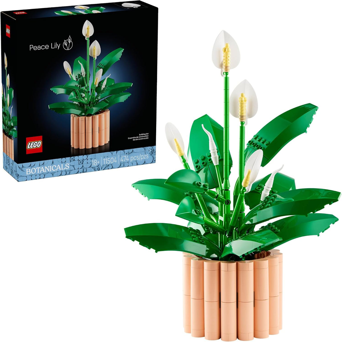 Peace Lily 11504