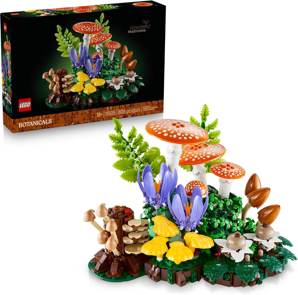 Setas del bosque 11505