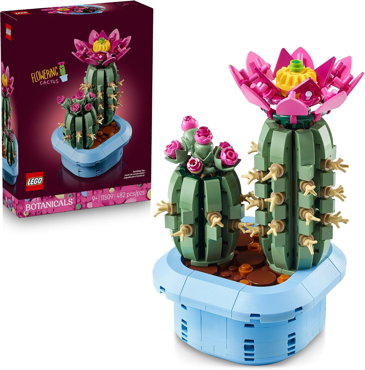 Flowering Cactus 11509
