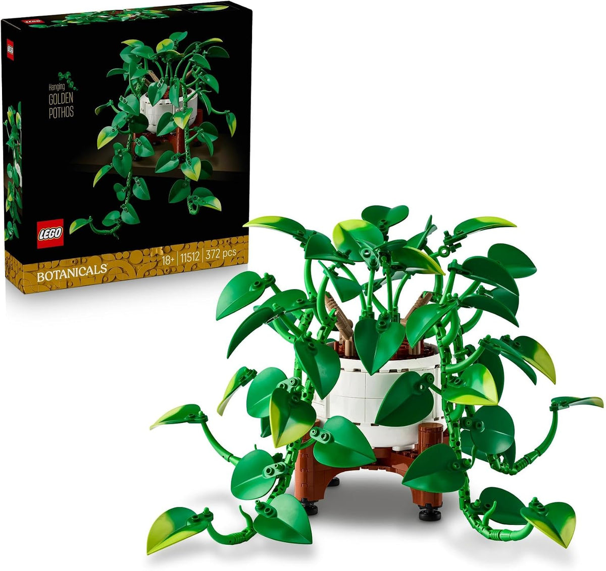 Hanging Golden Pothos 11512