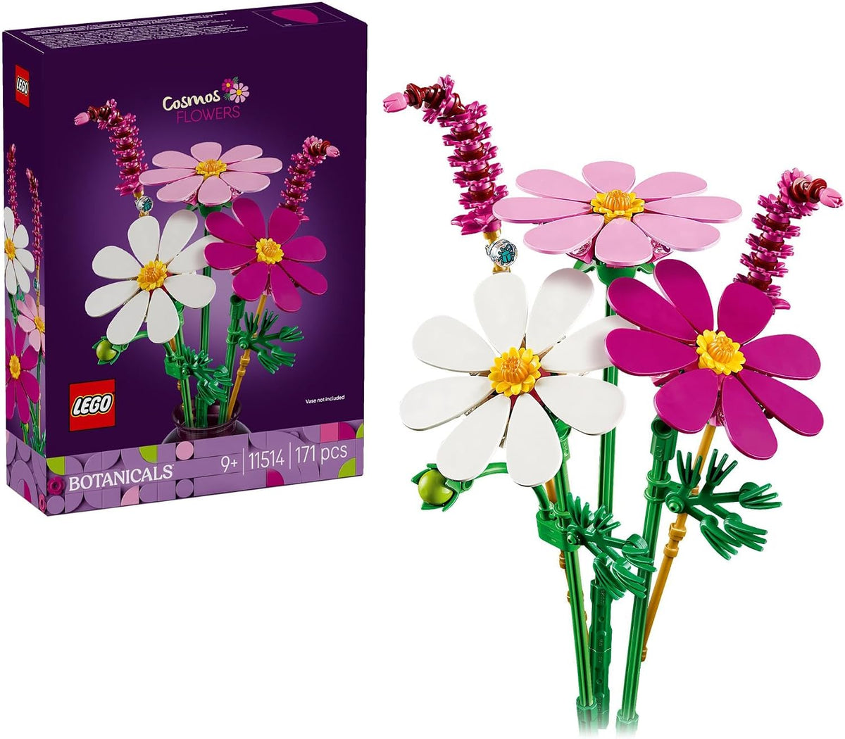 Cosmos Flowers 11514