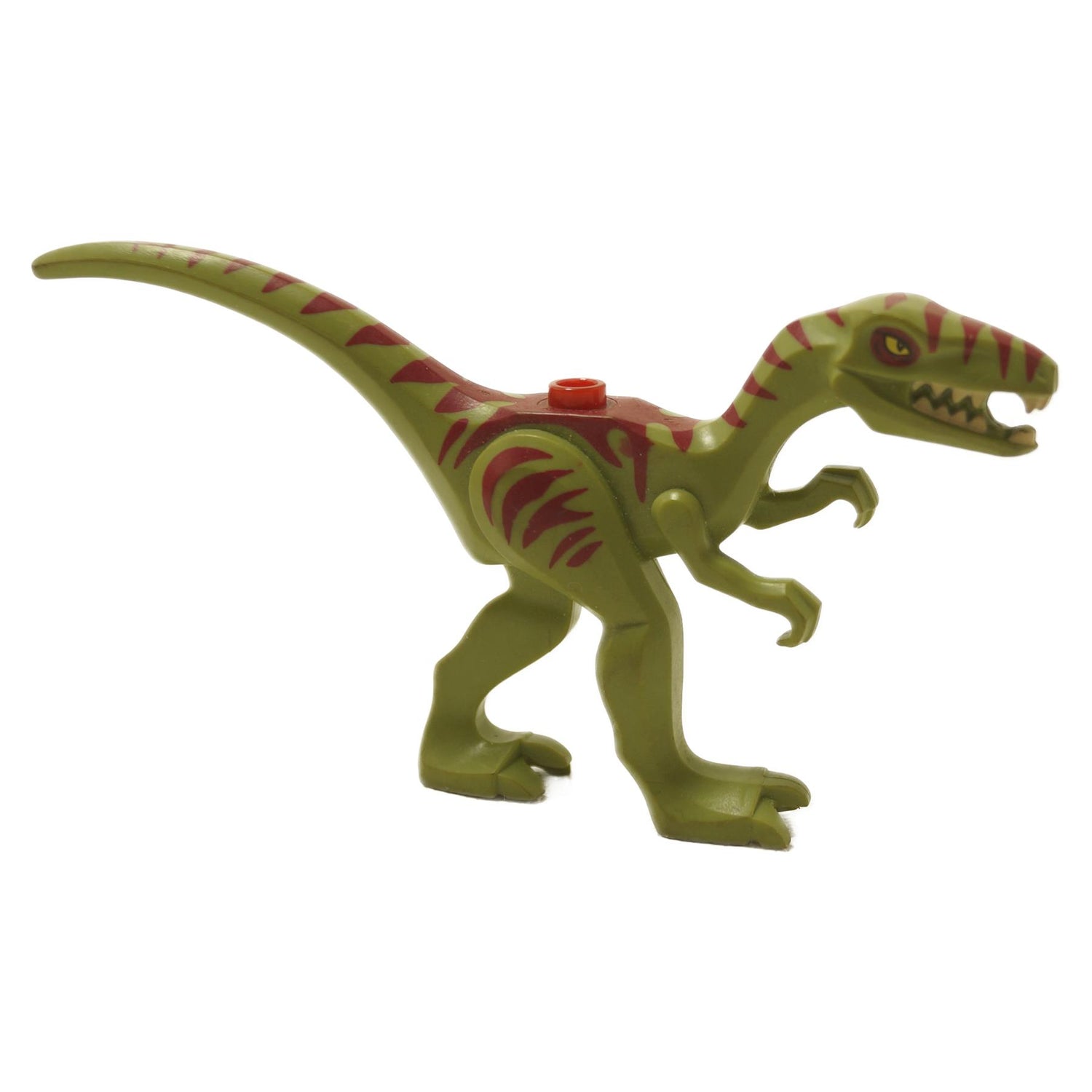 Coelophysis dinosaur figure in olive green with red stripe markings, small molded prehistoric creature