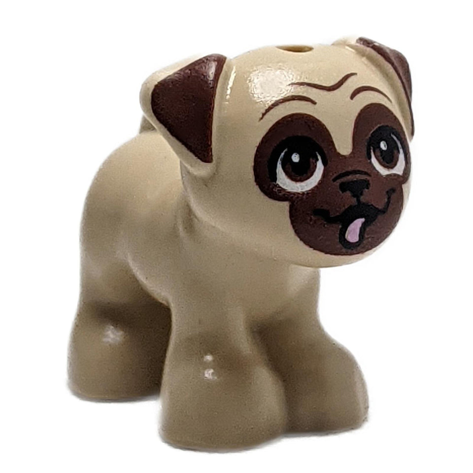 Pug – Standing Friends-Style Dog with Tongue Out & Eyes Looking Up