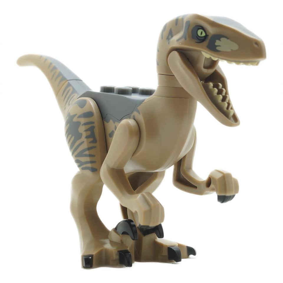 Dinosaur Raptor / Velociraptor with Dark Bluish Gray Back