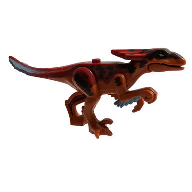 恐龙 Pyroraptor 