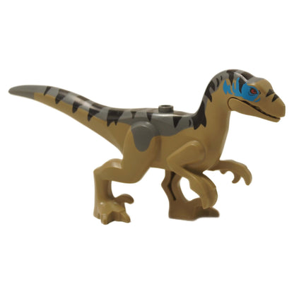 Side view of LEGO® Velociraptor figure showing dark gray body and blue stripe detail