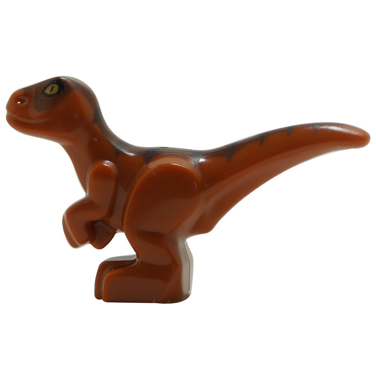 Dark Orange Dino Raptor Baby with Dark Brown and Reddish Brown Back