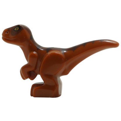 Dark Orange Dino Raptor Baby with Dark Brown and Reddish Brown Back
