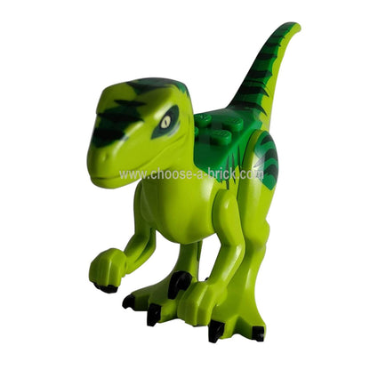 Dinosaurio, Raptor / Velociraptor con Verde Espalda