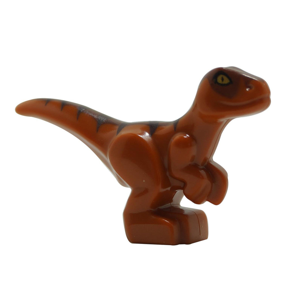 Dark Orange Dino Raptor Baby with Dark Brown and Reddish Brown Back