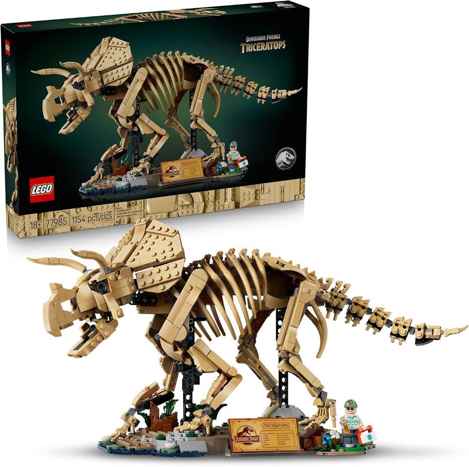 Dinosaur Fossils: Triceratops 77985