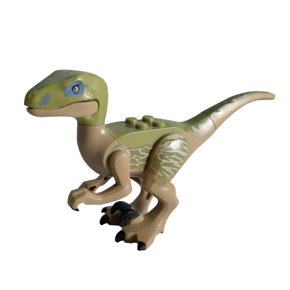 Raptor - Velociraptor Delta dari Jurassic World saya melihat ke kiri