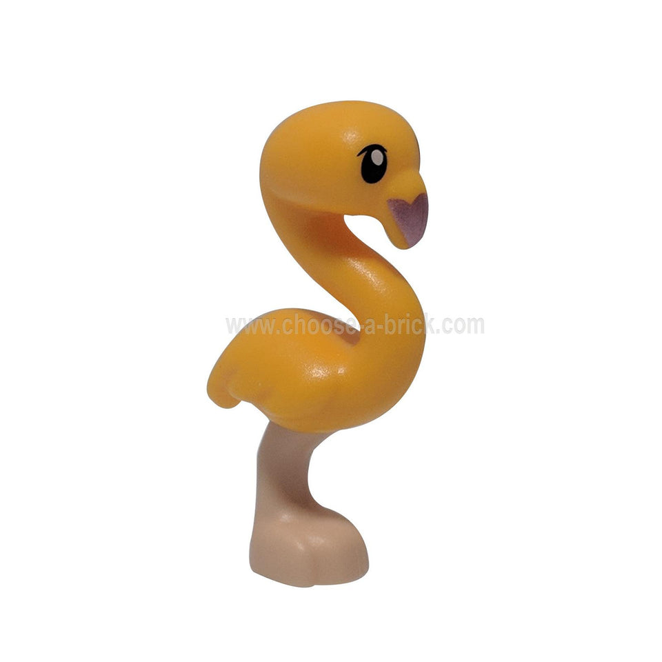 Pássaro, Amigos Flamingo com Laranja Claro Corpo, Preto Olhos e Padrão de Bico Metálico Rosa