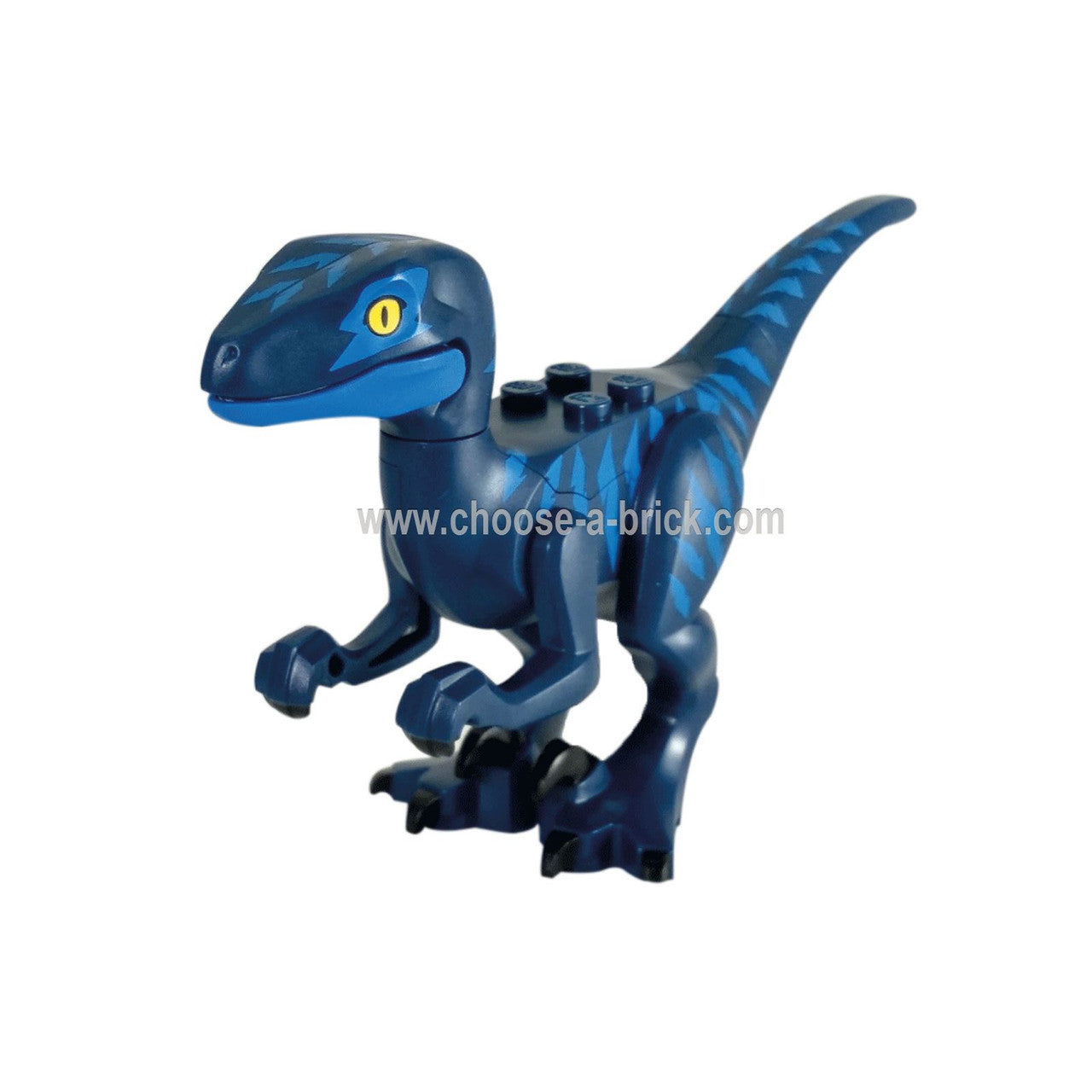 Lego Rapi T Unleash the Power of the LEGO® Velociraptor with Blue Markings! – www ...