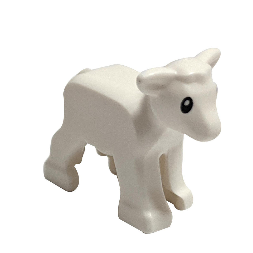 White lamb