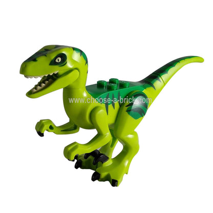 Dinosaurio, Raptor / Velociraptor con Verde Espalda