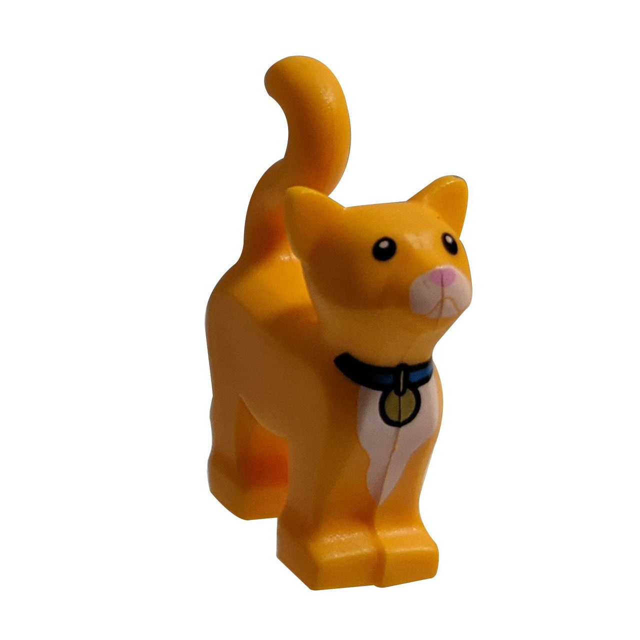 Kissa, seisoo Musta silmillä, Valkoinen kuonolla ja rinnalla, Kirkkaan pinkki nenällä, Sininen kauluksella, jossa on kultainen merkki-kuvio (Sox)