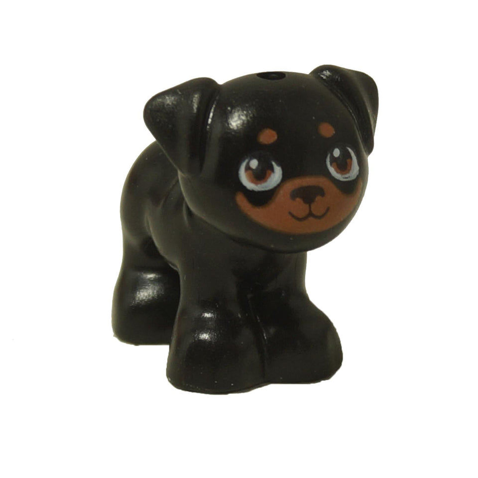 LEGO® Friends Pug Dog figure (Apollo) in black with a brown muzzle and large, printed eyes.