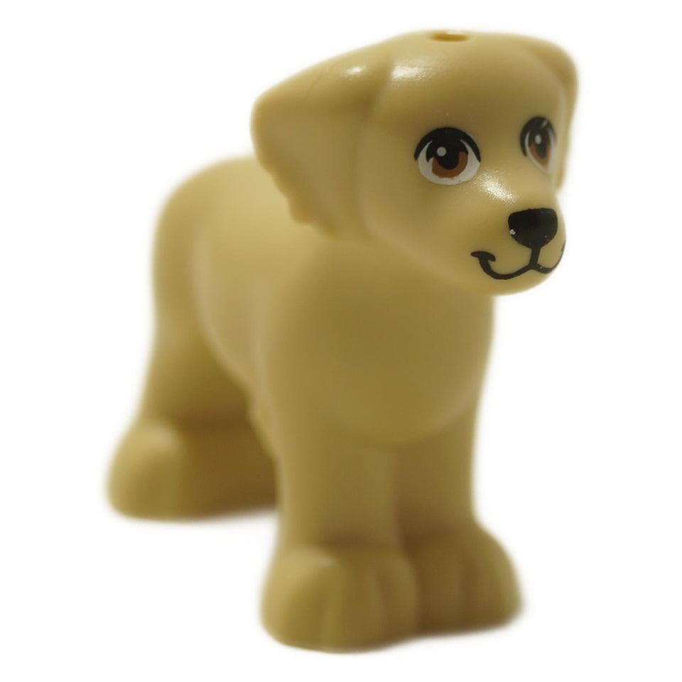 Friends style dog figure with shaggy fur texture and black nose, standing pose
