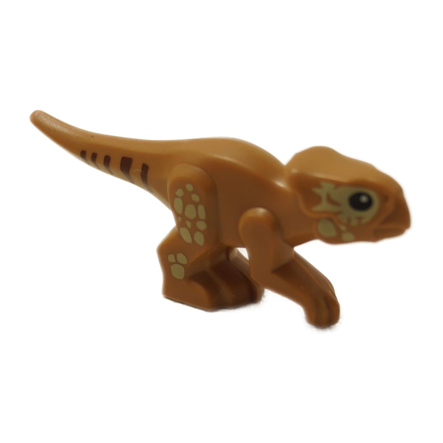 LEGO® Figura de dinosaurio Baby Dolores Aquilops con cuerpo marrón-naranja y cara impresa