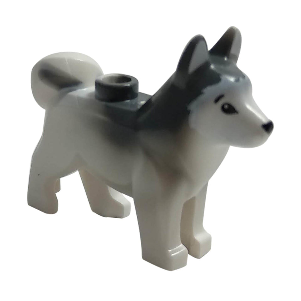 A LEGO Husky dog with marbled dark bluish gray ears and back, printed black eyes and nose, and a white face and ears pattern.