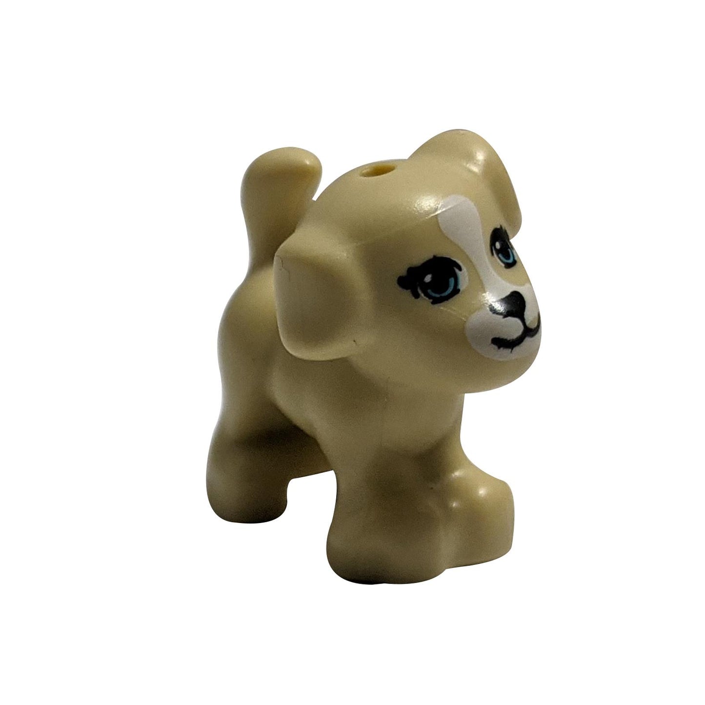 Figura de cachorro con marca blanca y ojos azules medianos, mostrada desde un ángulo frontal
