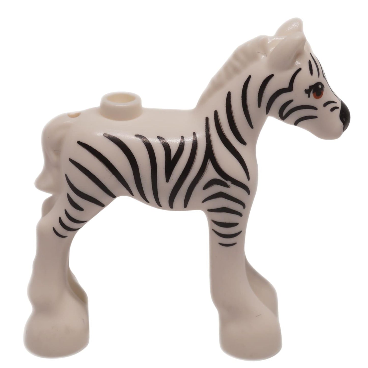 Blanco potro de cebra bebé con rayas negras, vista de perfil desde el lado derecho figura de animal de pie
