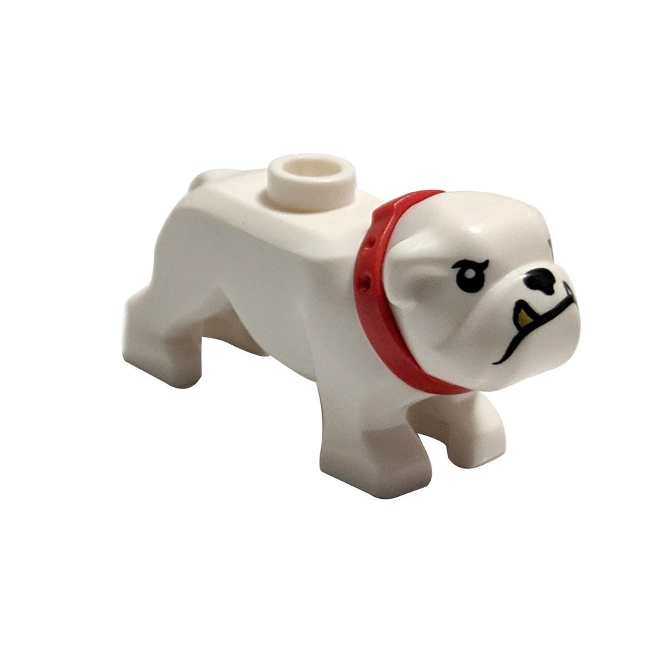 Blanco Perro, Bulldog con Negro Ojos, Nariz y Boca con 1 Diente de Oro, Rojo Patrón de Collar